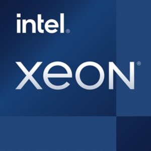 Procesador intel xeon e - 2324g lga1200 3.1ghz 4 core