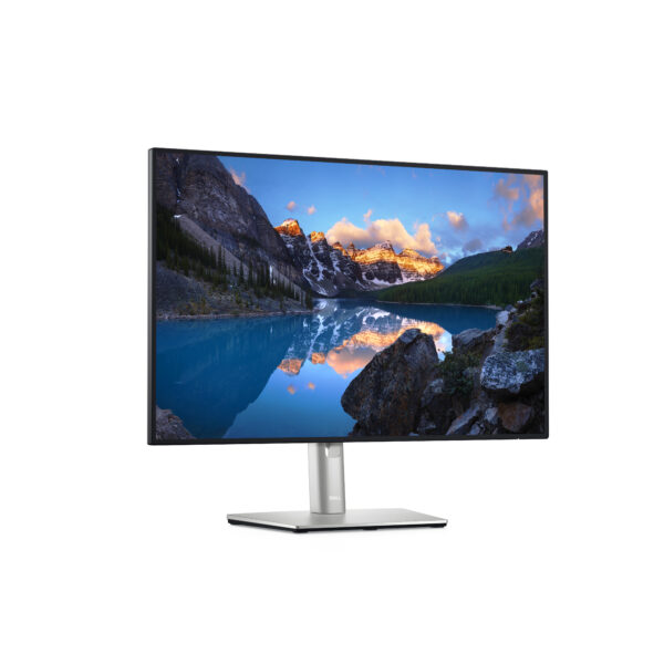 Monitor led 24.1 pulgadas dell ultrasharp u2421e ips -  lcd -  wuxga -  dp -  hdmi -  usb tipo c -  60hz -  5ms -  vesa 100 x 100 - Imagen 3