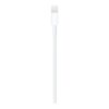 Cable lightning a usb tipo a apple 1m -  macho - macho -  blanco - Imagen 3