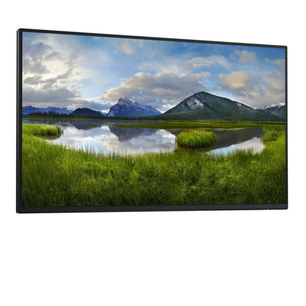 Monitor dell 24 pulgadas p2425he fhd 100hz - Imagen 3