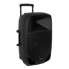 Altavoz portatil con microfono fonestar malibu - 315 - 50w rms - Imagen 2