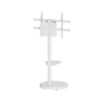 Soporte suelo con ruedas ewent vesa hasta 86 pulgadas 600x400mm max 50kg - Imagen 2