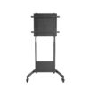 Soporte suelo con ruedas ewent vesa hasta 100 pulgadas 800x600mm max 95kg - Imagen 3