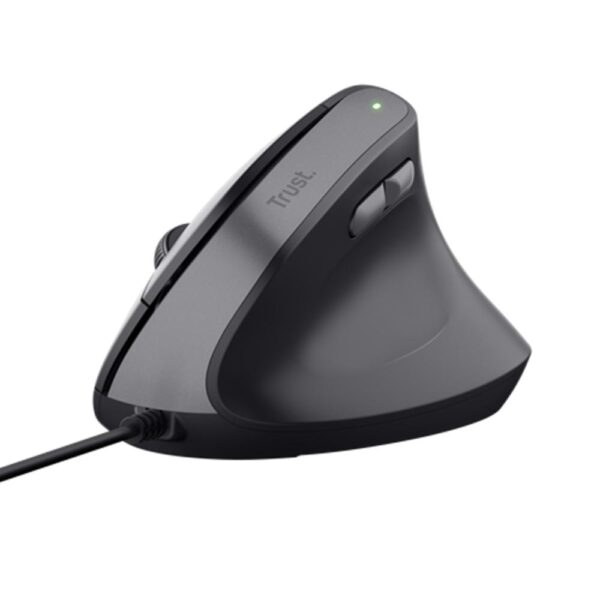 Raton trust bayo ii negro