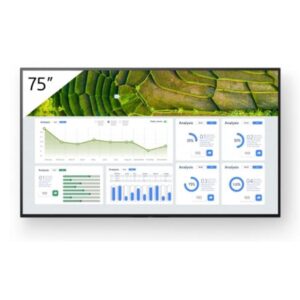 Monitor sony professional bravia 75 pulgadas 4k uhd